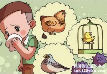 韩国现高致病性禽流感病毒把风险预警调至最高 韩国现高致病性禽流感病毒把风险预警调至最高