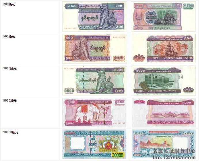 缅元样图 缅元样图