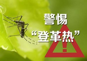 提醒在越南中国公民注意防范登革热