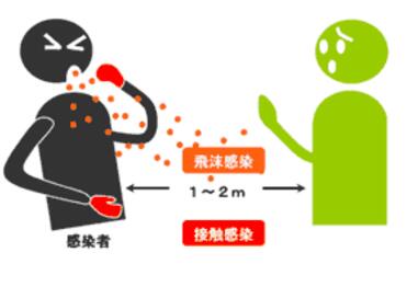 缅甸发生甲型H1N1流感 旅客应避免接触禽类 缅甸发生甲型H1N1流感 旅客应避免接触禽类