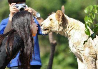 提醒赴泰游客与动物亲密接触须谨慎 提醒赴泰游客与动物亲密接触须谨慎