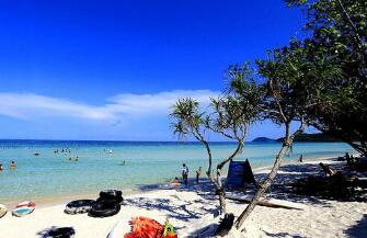 越南旅游部门加大力度吸引中国游客 越南签证办起来 越南旅游部门加大力度吸引中国游客 越南签证办起来