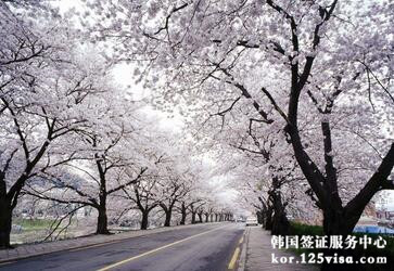 最新通知:韩国旅游签证只能通过指定代办机构申请 最新通知:韩国旅游签证只能通过指定代办机构申请