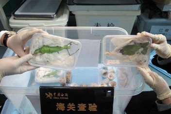 1512985967279521.png TIM截图20171211175716.png