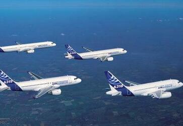 土耳其客机冲下悬崖提醒乘机注意安全 土耳其客机冲下悬崖提醒乘机注意安全