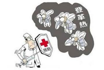 提醒在柬埔寨中国同胞注意登革热病 提醒在柬埔寨中国同胞注意登革热病