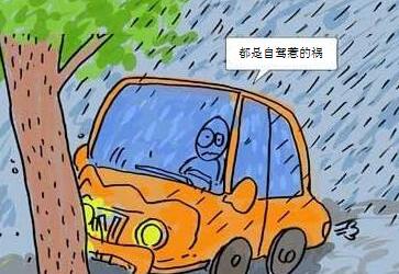 提醒在澳大利亚谨慎选择自驾 提醒在澳大利亚谨慎选择自驾