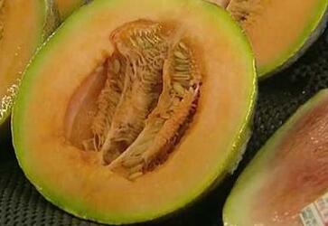 澳大利亚多人因食甜瓜感染细菌提醒注意安全 澳大利亚多人因食甜瓜感染细菌提醒注意安全