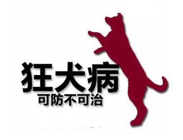 提醒赴泰国南部中国公民注意防范狂犬病 提醒赴泰国南部中国公民注意防范狂犬病