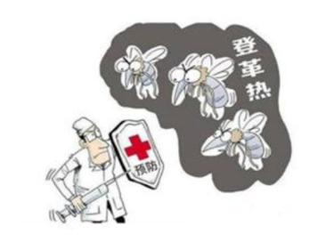 提醒中国公民在印度东部地区防范登革热 提醒中国公民在印度东部地区防范登革热