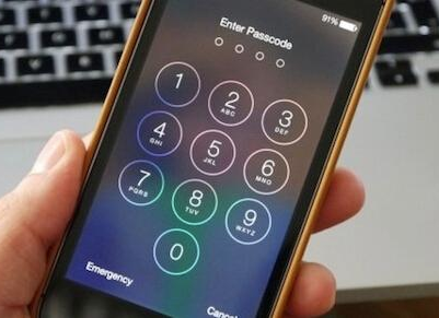 入境新西兰被要求交手机和密码? 入境新西兰被要求交手机和密码?