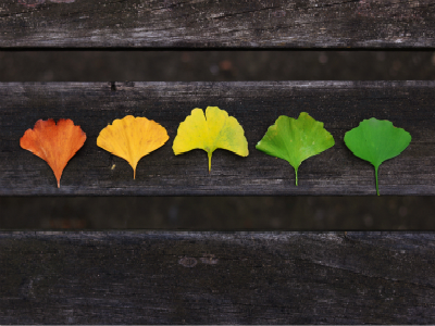 中国公民持日本签证过韩免签政策变化 中国公民持日本签证过韩免签政策变化