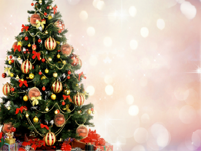 提醒侨胞加强圣诞前后安全防范 提醒侨胞加强圣诞前后安全防范