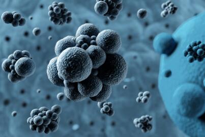 安哥拉近200名华人患登革热 提醒华人同胞注意防范 安哥拉近200名华人患登革热 提醒华人同胞注意防范