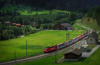 2015年阿尔及利亚向中国人发放签证数量超过55000份 2015年阿尔及利亚向中国人发放签证数量超过55000份