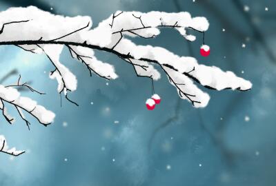 日本开启大雪模式!赴日中国游客需注意 日本开启大雪模式!赴日中国游客需注意