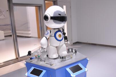 日本启用AI自动回答网站向外国游客提供灾害信息 日本启用AI自动回答网站向外国游客提供灾害信息