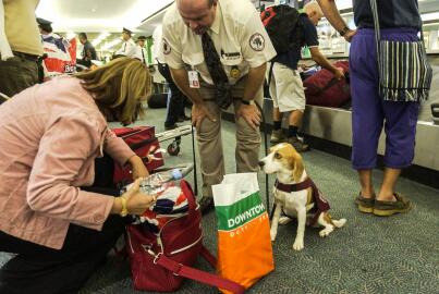 澳大利亚边检处罚更严格,违反规定将被取消签证遣返 澳大利亚边检处罚更严格,违反规定将被取消签证遣返