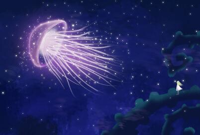 毒水母出没!赴马旅行中国游客请注意 毒水母出没!赴马旅行中国游客请注意