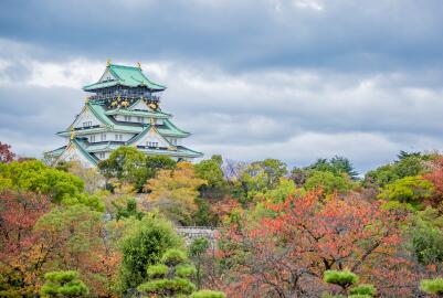 赴日外国游客超六成回头客 地方冷门景点成新宠 赴日外国游客超六成回头客 地方冷门景点成新宠