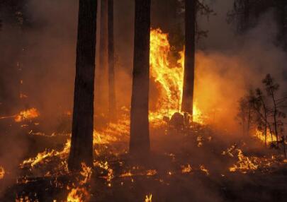 加拿大阿尔伯塔省发生野火 提醒大家注意安全 加拿大阿尔伯塔省发生野火 提醒大家注意安全