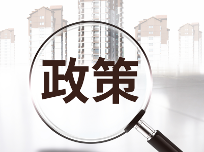 巴西移民及国籍政策 巴西移民及国籍政策