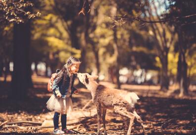 海南文化走进芬兰芬芳绽放 尽展海南之美 海南文化走进芬兰芬芳绽放 尽展海南之美