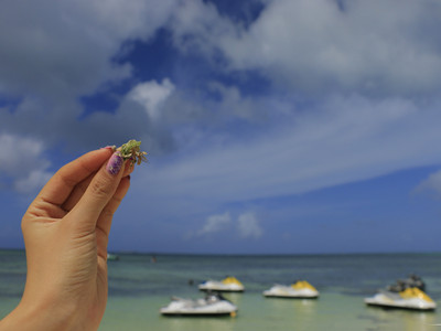 马里贸易管理方面的相关规定