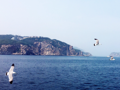 古巴放宽对公民出入境限制 古巴放宽对公民出入境限制