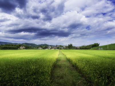 马达加斯加土地政策与农业资源概况 马达加斯加土地政策与农业资源概况
