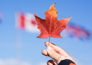 提醒赴加拿大中国游客注意交通安全 提醒赴加拿大中国游客注意交通安全