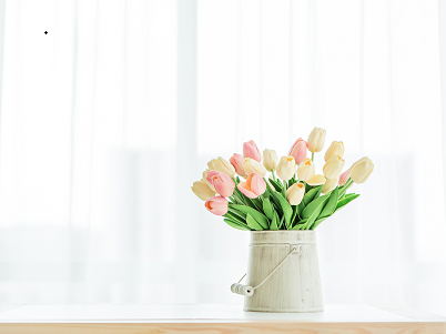 过期郁金香不能开花,中国游客勿被骗 过期郁金香不能开花,中国游客勿被骗