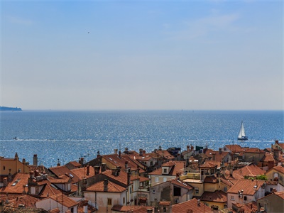 中国驻斯洛文尼亚使馆举行新春招待会 中国驻斯洛文尼亚使馆举行新春招待会