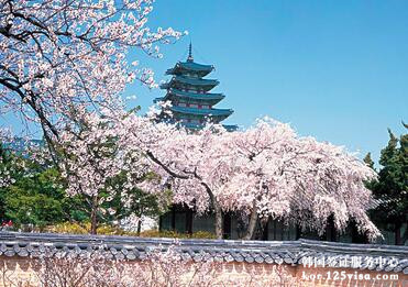 第一次申请韩国签证顺利出签 第一次申请韩国签证顺利出签