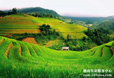 28岁未婚的王女士顺利获得越南旅游签证 28岁未婚的王女士顺利获得越南旅游签证