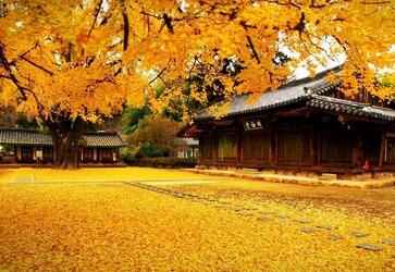 1510109622300802.jpg QQ截图20171108104809.jpg