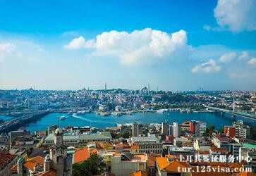 翁先生顺利获得土耳其电子签证 翁先生顺利获得土耳其电子签证