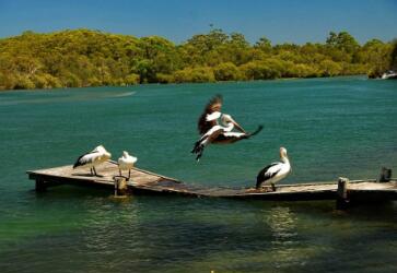 在职小赵成功获得澳大利亚旅游签证 在职小赵成功获得澳大利亚旅游签证