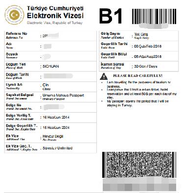 何小姐获得土耳其电子签证出国旅游 何小姐获得土耳其电子签证出国旅游