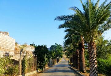 蒋先生的土耳其旅游签证顺利出签 蒋先生的土耳其旅游签证顺利出签