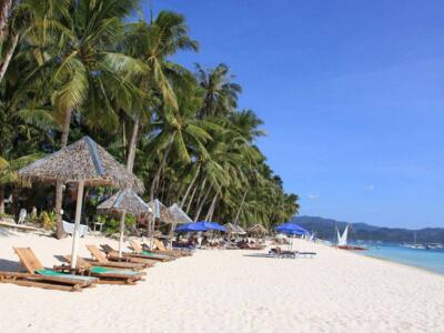 无业张女士成功办理菲律宾签证 无业张女士成功办理菲律宾签证