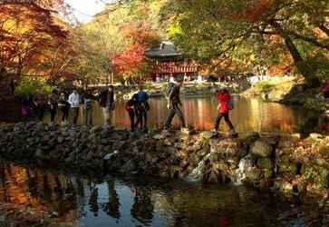 薛先生终于获得韩国旅游签证出国旅游 薛先生终于获得韩国旅游签证出国旅游