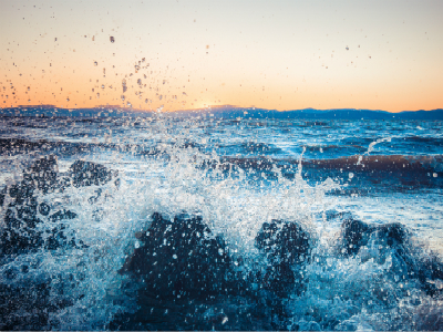 白本,顺利拿到赞比亚签证 白本,顺利拿到赞比亚签证