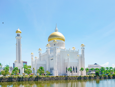 首次出国顺利获得文莱签证 首次出国顺利获得文莱签证