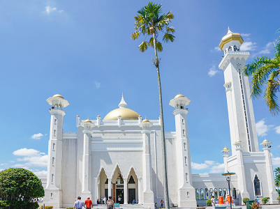 张女士成功获得文莱签证 张女士成功获得文莱签证