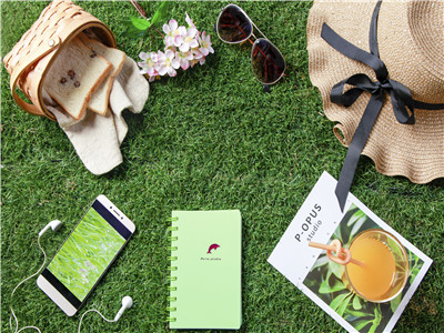 吕女士前往博茨瓦纳成功获得旅游签证