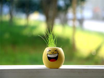 拒签后莫桑比克签证还能顺利出签! 拒签后莫桑比克签证还能顺利出签!