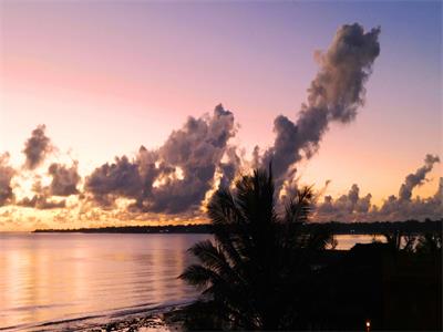 陈先生一家三口顺利拿到莫桑比克旅游签证 陈先生一家三口顺利拿到莫桑比克旅游签证