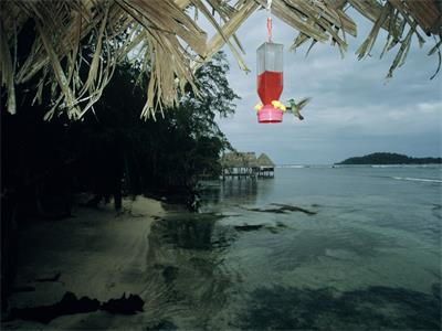 办理签证需了解政策! 办理签证需了解政策!