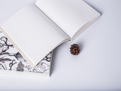 冷先生夫妇白本获得列支敦士登签证